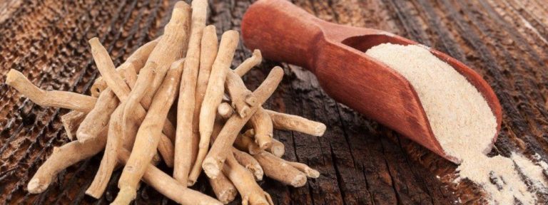 Ashwagandha: An Antidote To Your Stressful Life